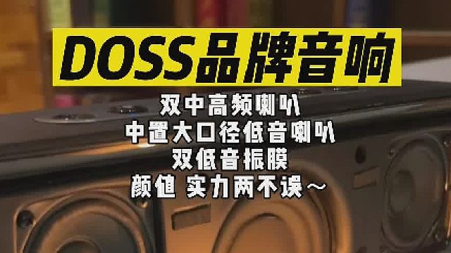 这个配置才这个价位，不简单！两分频蓝牙音箱