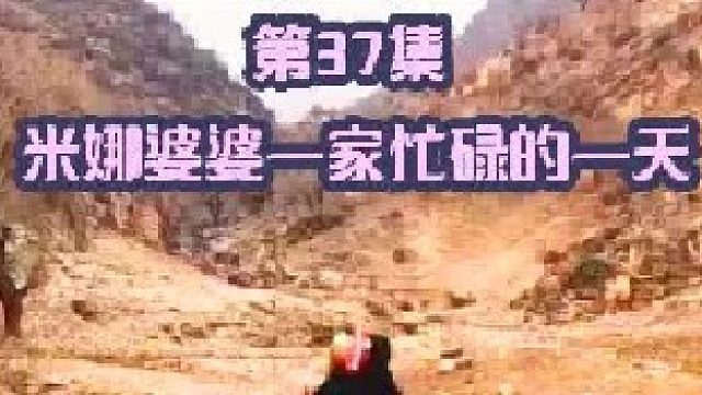 米娜婆婆一家忙碌的一天