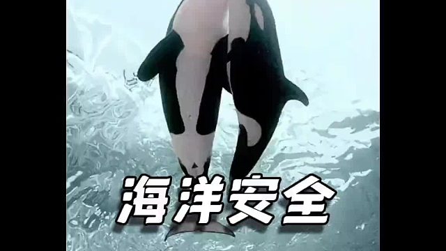 海洋“安全”都靠它