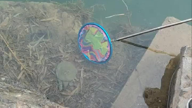 居然有意外收获