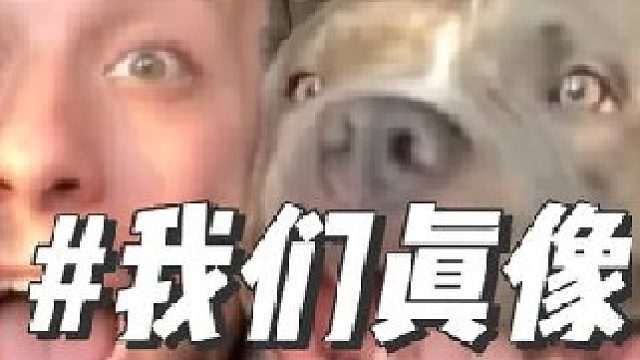 据说宠物养久了会和主人越来越像