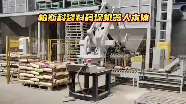 帕斯科袋料码垛机器人本体