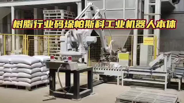 树脂行业码垛帕斯科工业机器人本体