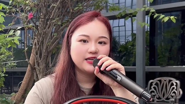 可以直播唱歌露营防水给手机充电带灯的户外蓝牙音箱