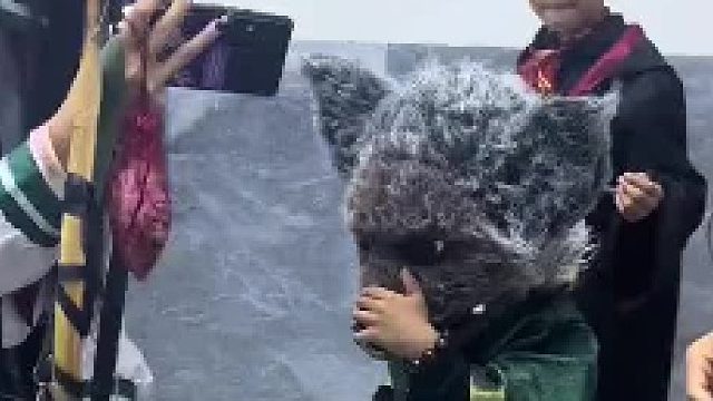 这个小coser真可爱