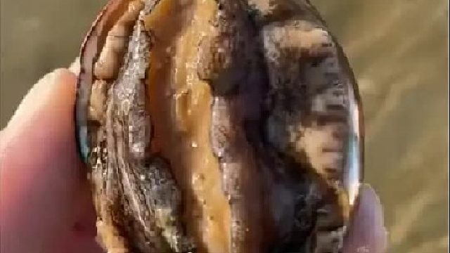 带你去体验渔民的生活