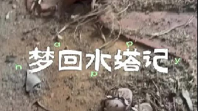 我和小宝回到了我们最初生活的地方