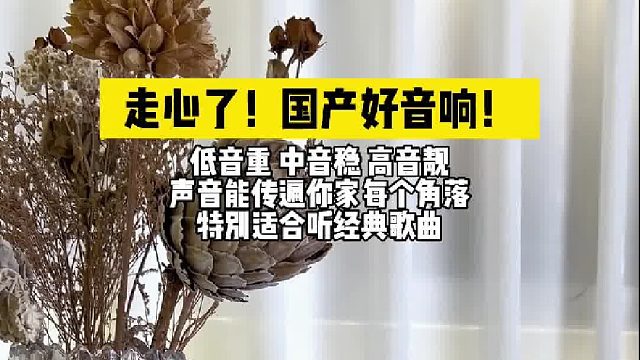 品质与颜值并存，送老妈的暖心之选：DOSS大耳朵居家蓝牙音箱