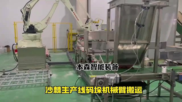 沙棘生产线码垛机械臂搬运