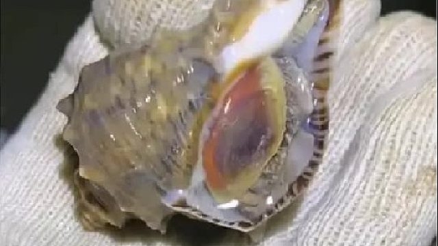 带你去体验渔民的生活