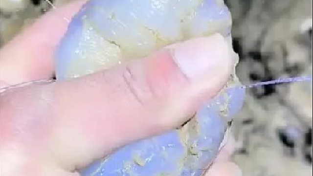 赶海赶海赶海啦