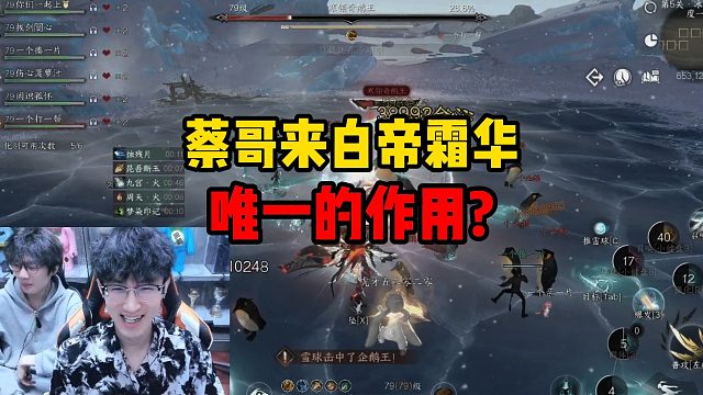 蔡哥来白帝霜华唯一的作用？