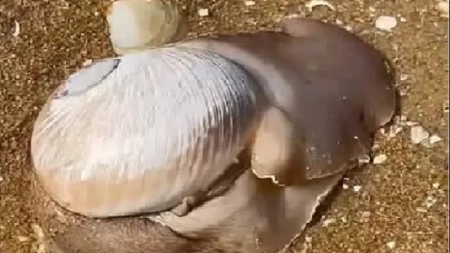 带你去体验渔民的生活