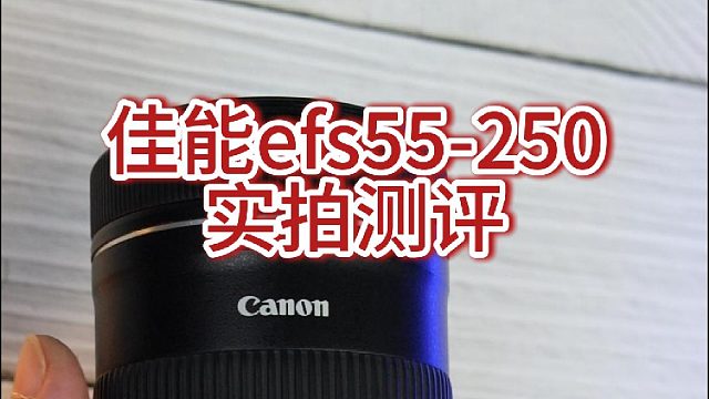 佳能rf55-250实拍效果测评