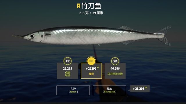 对，是它，竹刀鱼，它又来了