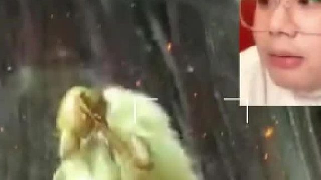 那么问题来了 这是啥呀？