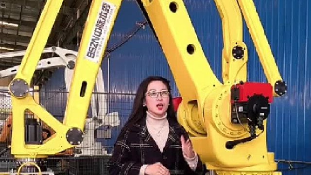 智能码垛机器人  识别不同货物尺寸   灵活调整