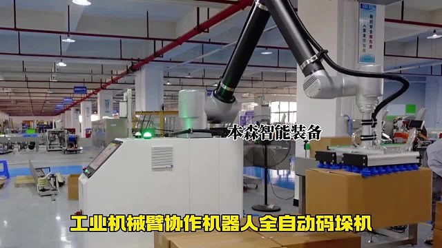 工业机械臂协作机器人全自动码垛机
