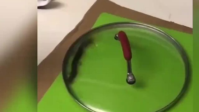 女子家中进了一条蜈蚣手疾眼快用锅盖将它盖住