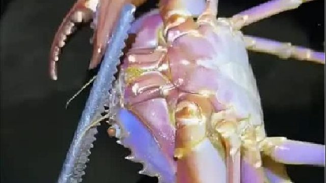 带你去体验渔民的生活