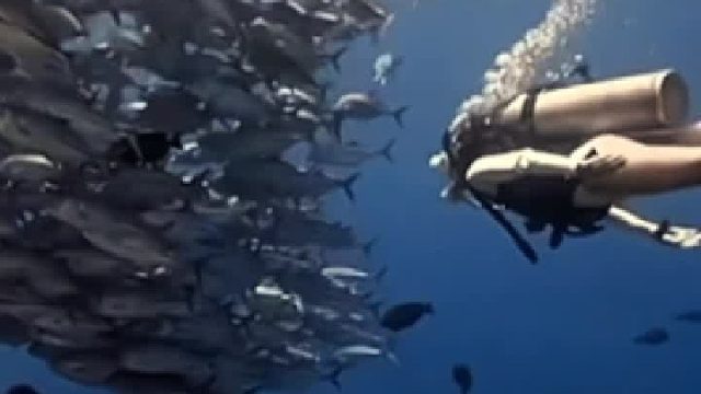 华美•金肤密钥，全层细胞赋活！再现年轻态