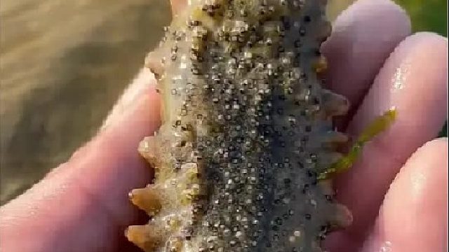 带你去体验渔民的生活