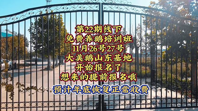 想养鹅和养鹅的都看过来了，这期在山东基地。可以报名了。