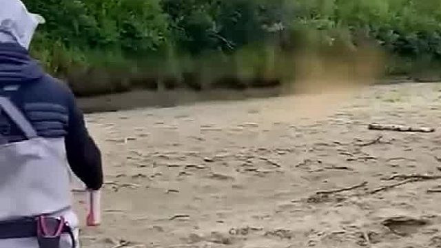 应该是香水吧，母老虎的味道