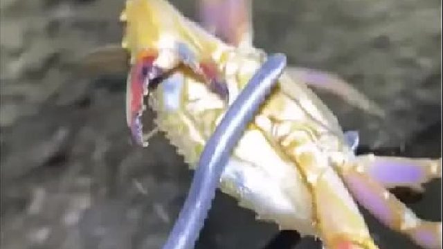 带你去体验渔民的生活