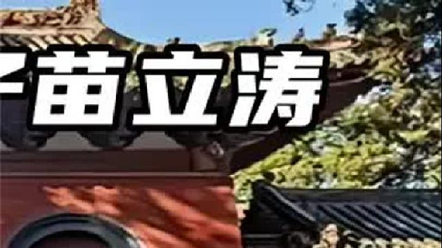 中国少林弟子苗立涛，一击入魂送百胜拳王进入梦乡，一龙当场看呆 3