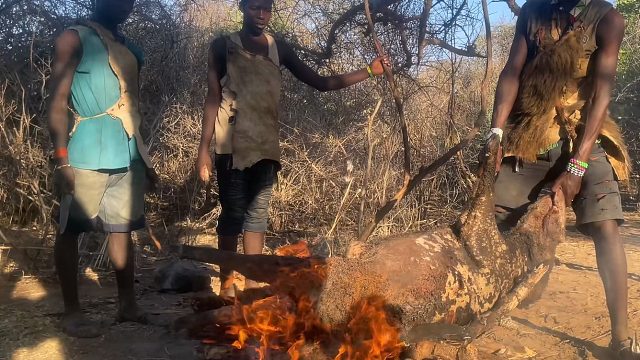 大火啊，你别烧啊，咱老猪承受不起