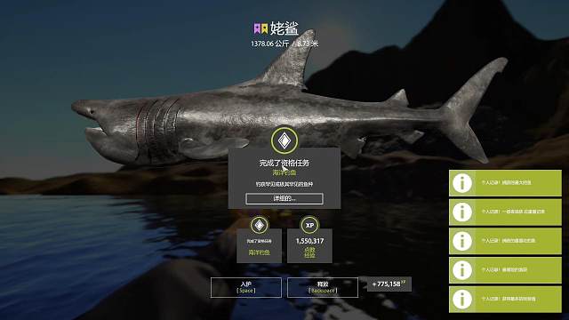 回顾-未赶浅坑20m起星姥教学（仅供参考）