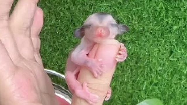 这个年龄最擅长就是睡觉啦