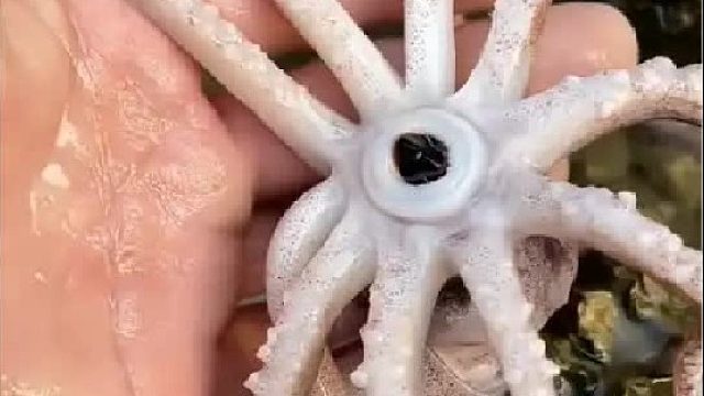 赶海赶海赶海啦