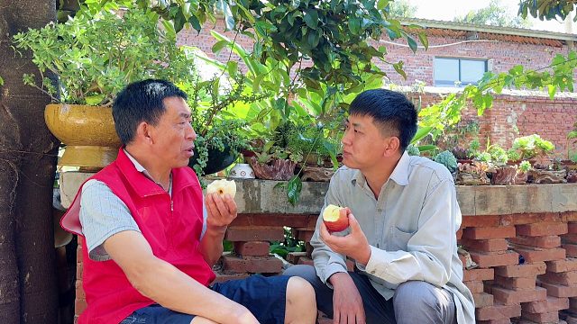 儿子问父亲：打工好还是种地好？父亲的回答太真实了