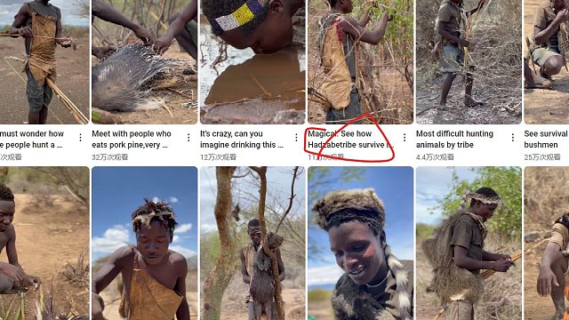 雨天，在岩石下方刮豪猪毛，原声版