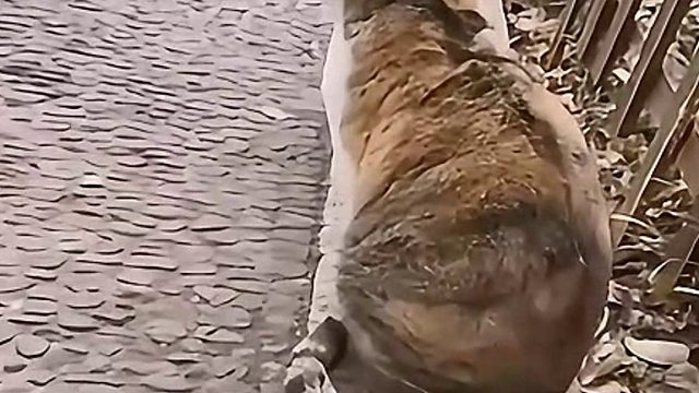 只要我不觉得尴尬，那就不影响要抱抱