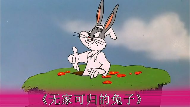 兔子只是睡一觉的功夫，自己的家竟被挖掘机铲除