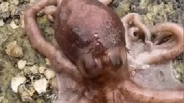 带你去体验渔民的生活