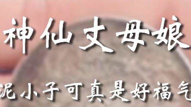 这丈母娘太给力了