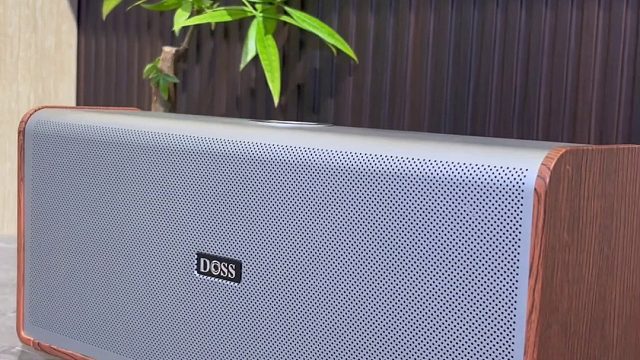 无论是高音的清脆嘹亮，还是低音的深沉浑厚，都能完美呈现