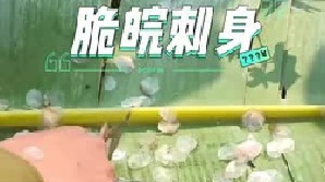 这种脆皖还是养殖的要比纯野生的好吃，特别是做成刺身品尝味道真的很顶。