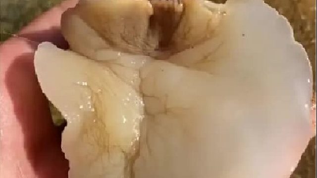 带你去体验渔民的生活