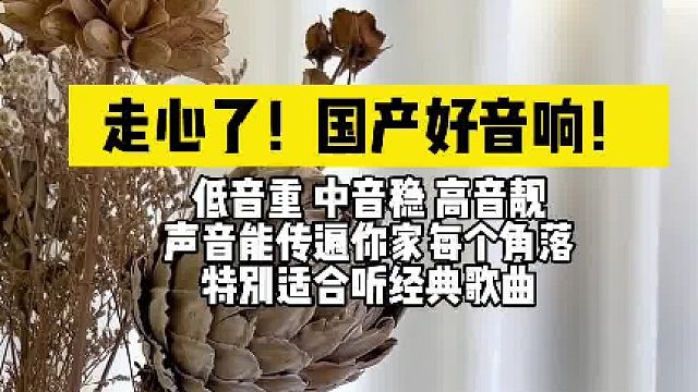 25年匠心沉淀，品质领航，跟着买就对了！DOSS大耳朵居家蓝牙音箱