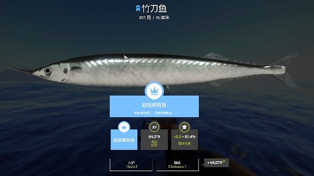 是它，竹刀鱼，它又又又来了，不离不弃