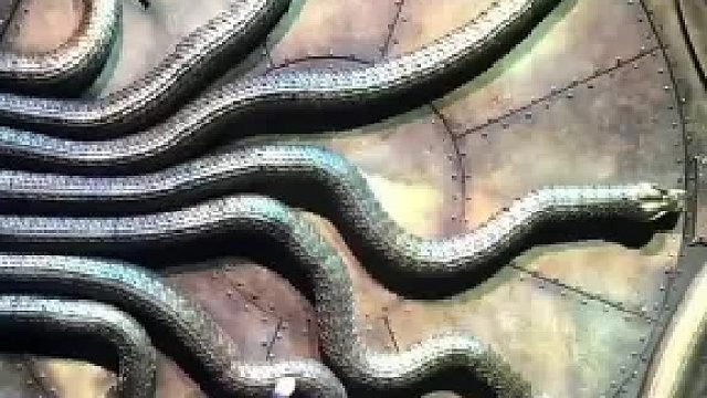 这里是九头蛇的地盘