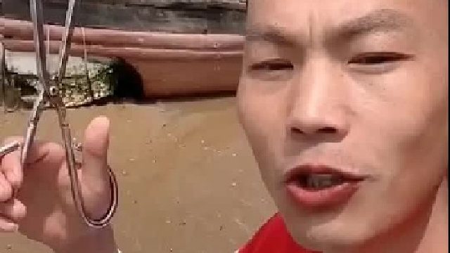 户外赶海抓海鲜