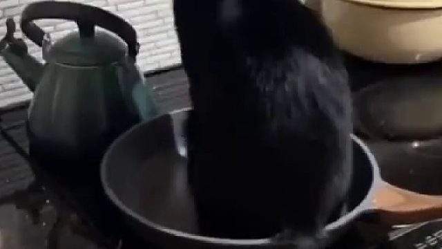 大晚上这是做什么