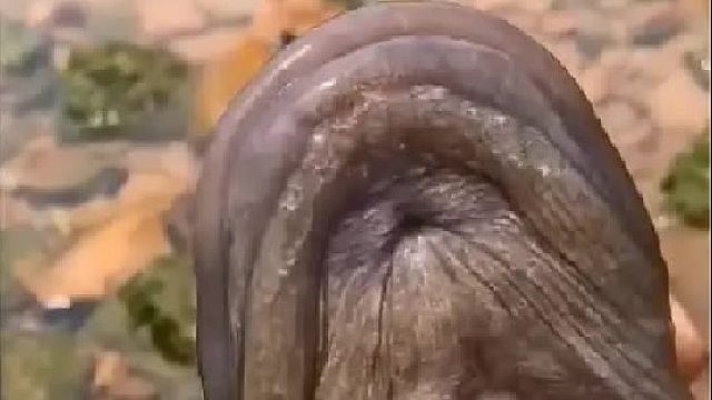 赶海赶海赶海啦