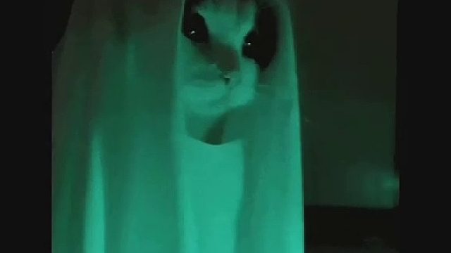 这么刺激的实景剧本杀 万万没想到